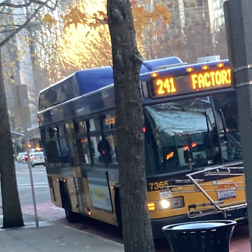 241