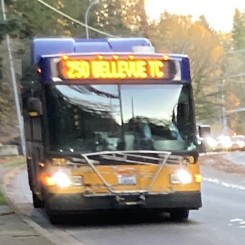 250