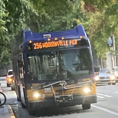 256