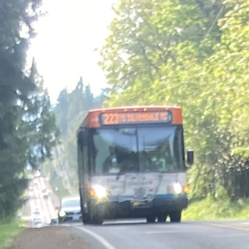 223