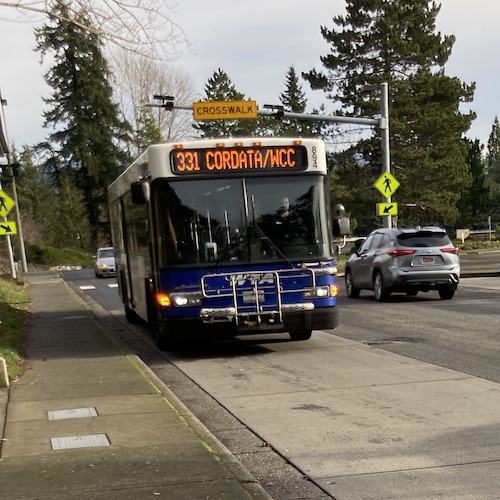 331